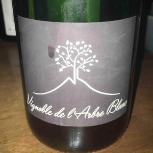 Domaine de l'Arbre Blanc - Frédéric Gounan - Les Orgues