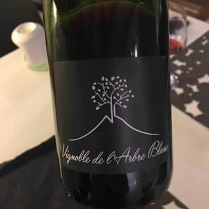 Domaine de l'Arbre Blanc - Frédéric Gounan - Les Orgues