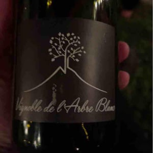 Domaine de l'Arbre Blanc - Frédéric Gounan - Les Orgues