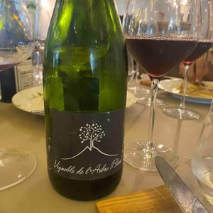 Domaine de l'Arbre Blanc - Frédéric Gounan - Les Orgues