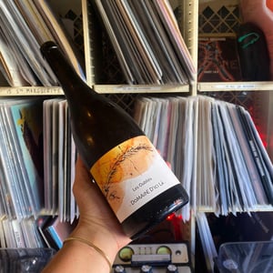 Les Oubliés - Domaine D'ici là - adrien-bariol