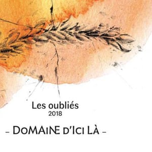 Les Oubliés - Domaine D'ici là - adrien-bariol