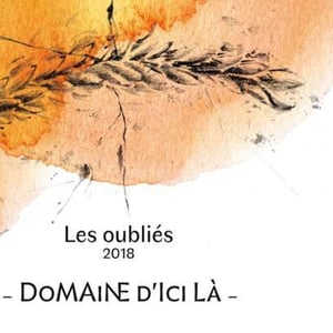 Les Oubliés - Domaine D'ici là - adrien-bariol