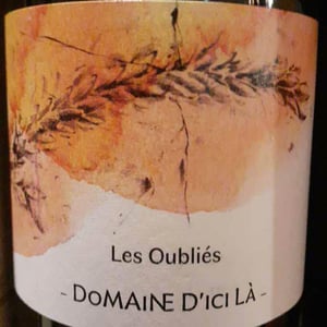 Les Oubliés - Domaine D'ici là - adrien-bariol