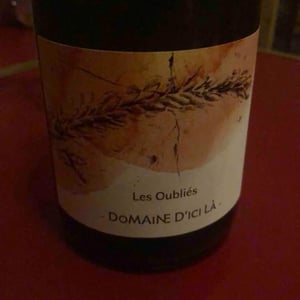 Les Oubliés - Domaine D'ici là - Adrien Bariol 