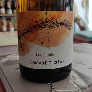 Les Oubliés - Domaine D'ici là - adrien-bariol