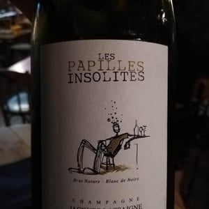 Les Papilles Insolites - Champagne Jacques Lassaigne - Emmanuel Lassaigne 