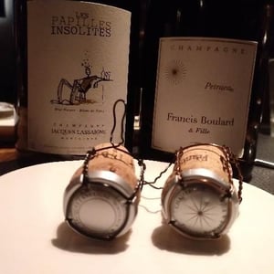 Les Papilles Insolites - Champagne Jacques Lassaigne - emmanuel-lassaigne