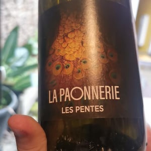 Les pentes - La Paonnerie - marie-carroget