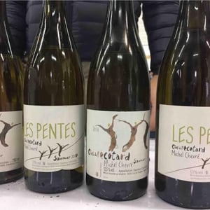 Les Pentes - Clos De L'Ecotard - thibaud-michel-chevre