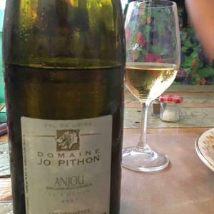 Les Pépinières - Pithon-Paillé - jo-pithon