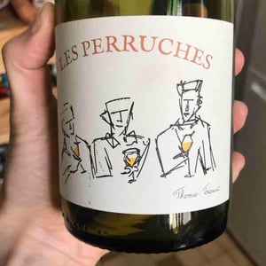 Les Perruches - Thomas Frissant - thomas-frissant