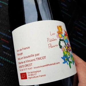 Marie et Vincent Tricot - Vincent et Marie Tricot - Les Petites Fleurs