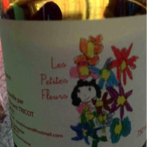Marie et Vincent Tricot - Vincent et Marie Tricot - Les Petites Fleurs