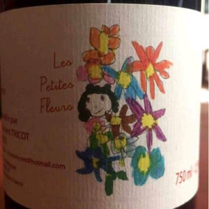 Marie et Vincent Tricot - Vincent et Marie Tricot - Les Petites Fleurs