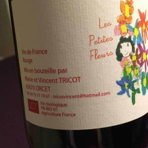 Marie et Vincent Tricot - Vincent et Marie Tricot - Les Petites Fleurs