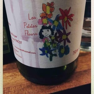 Marie et Vincent Tricot - Vincent et Marie Tricot - Les Petites Fleurs