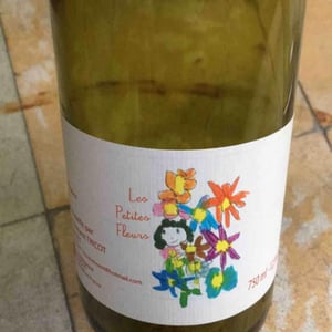 Marie et Vincent Tricot - Vincent et Marie Tricot - Les Petites Fleurs