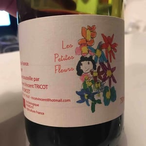 Marie et Vincent Tricot - Vincent et Marie Tricot - Les Petites Fleurs