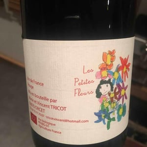 Marie et Vincent Tricot - Vincent et Marie Tricot - Les Petites Fleurs