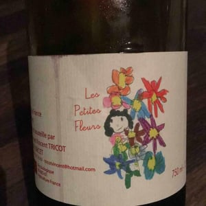 Marie et Vincent Tricot - Vincent et Marie Tricot - Les Petites Fleurs