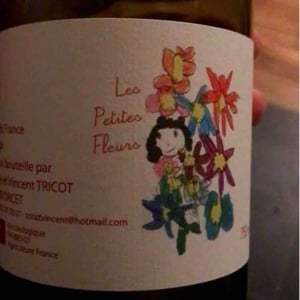 Marie et Vincent Tricot - Vincent et Marie Tricot - Les Petites Fleurs