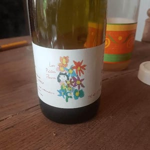 Marie et Vincent Tricot - Vincent et Marie Tricot - Les Petites Fleurs