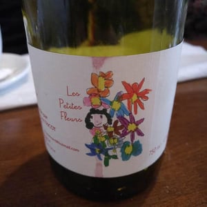 Marie et Vincent Tricot - Vincent et Marie Tricot - Les Petites Fleurs