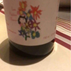 Marie et Vincent Tricot - Vincent et Marie Tricot - Les Petites Fleurs