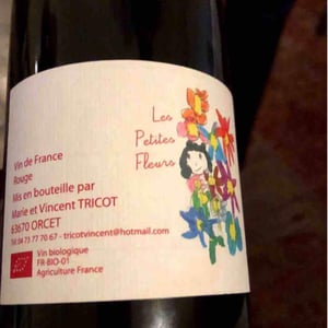 Marie et Vincent Tricot - Vincent et Marie Tricot - Les Petites Fleurs