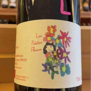 Marie et Vincent Tricot - Vincent et Marie Tricot - Les Petites Fleurs