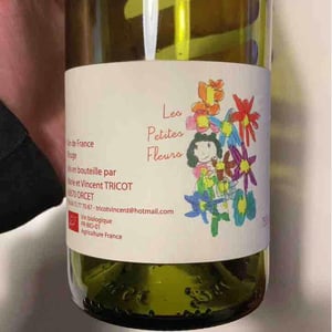 Marie et Vincent Tricot - Vincent et Marie Tricot - Les Petites Fleurs