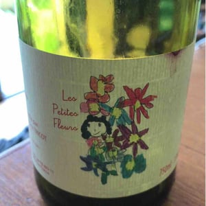 Marie et Vincent Tricot - Vincent et Marie Tricot - Les Petites Fleurs