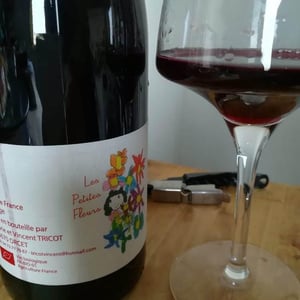 Marie et Vincent Tricot - Vincent et Marie Tricot - Les Petites Fleurs