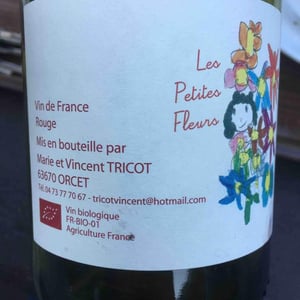 Marie et Vincent Tricot - Vincent et Marie Tricot - Les Petites Fleurs