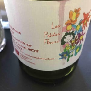 Marie et Vincent Tricot - Vincent et Marie Tricot - Les Petites Fleurs