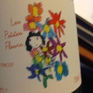 Les Petites Fleurs - Marie et Vincent Tricot - vincent-et-marie-tricot