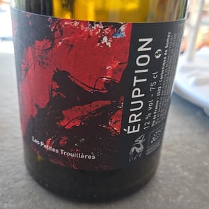 Eruption - Domaine Des Trouillères - camille-mikael-hyvert -2022