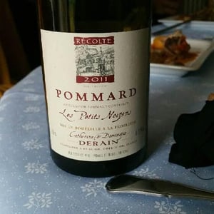 Les Petits Noizons - Domaine Derain - Julien Altaber & Carole Shwab, Domique Derain 
