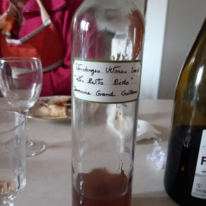 Les Petits Pieds - Domaine Grand Guilhem - severine-et-gilles-contrepois -2006