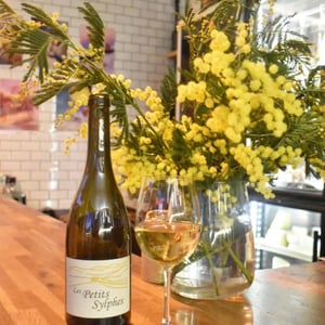 Les Petits Sylphes - Clos des Cimes - elodie-aubert