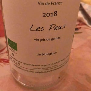 Les Peux - Vincent Chauvelot - vincent-chauvelot