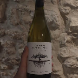 Les Pieds Dans Le Sable - Domaine De La Pointe - Cyril & Julie Laudet -2020