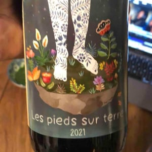 Les Pieds Sur Terre - Gaëlle Passas - Gaëlle Passas 
