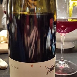 Domaine Julien Meyer - Patrick Meyer - Les Pierres Chaudes Pinot Noir