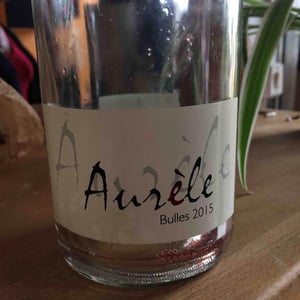 Les Pierres d'Aurèle - Domaine Les Pierres d'Aurèle - aurelie-frot-et-pierre-andre