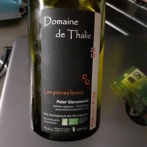 Les Pierres Leveés - Domaine De Thalie - Peter Gierszewski 