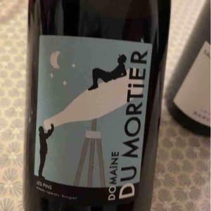 Domaine du Mortier - Fabien & Cyril Boisard - Les Pins