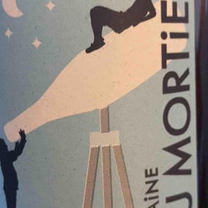 Les Pins - Domaine du Mortier - Fabien & Cyril Boisard -2018