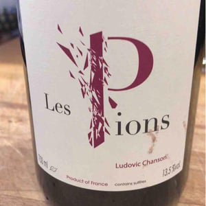 Ludovic Chanson - Ludovic Chanson - Les Pions
